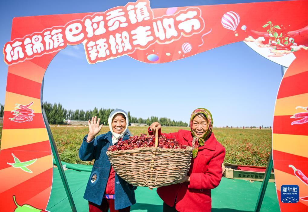 博悦平台登录客服